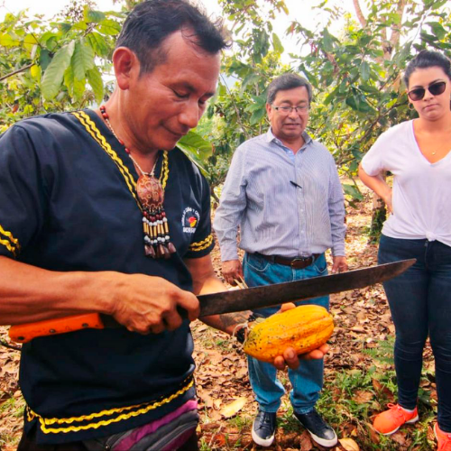 Geoparque Napo Sumaco